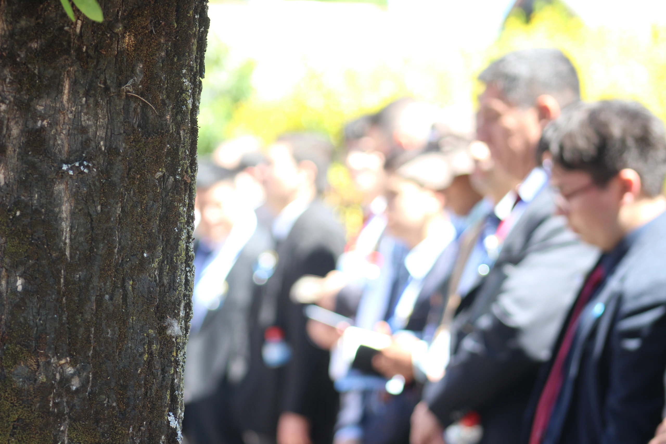 Fotografía de Confraternidad de Jóvenes 2024